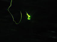 イメージ01